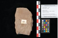 Foto (Objekt + Etikett) von Myrica lignitum Unger (NHMW-GEO-2024-0188-0657)